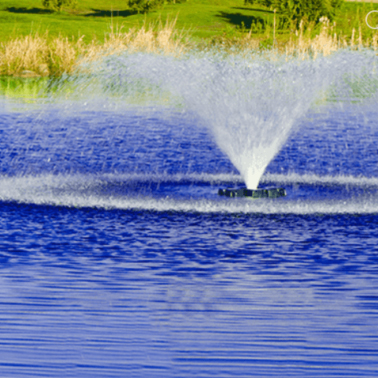 Pond Dye